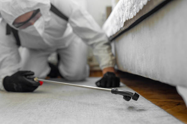 Professional Bed Bug Control technician working in Mendon, IL