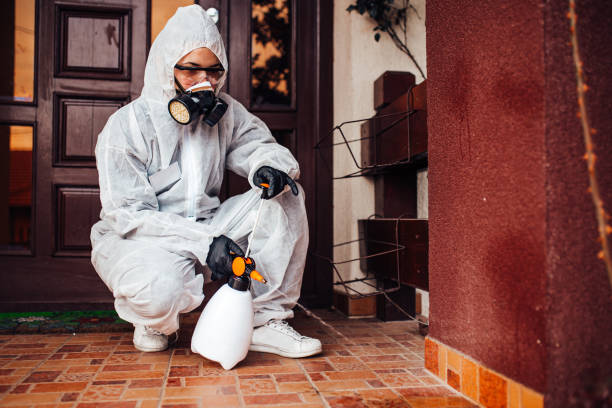 Reliable Bed Bug Control contractor in Mendon, IL by Nex Pest Control